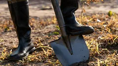 Den Gemüsegarten im April damit düngen: Der Boden wird zehnmal fruchtbarer