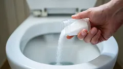 Gewöhnliches Salz löste die Toilettenverstopfung in 10 Minuten: Wie viel muss man einfüllen?